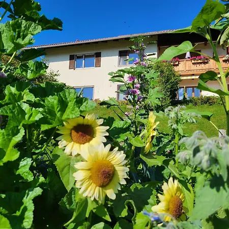 Appartement Rodler *