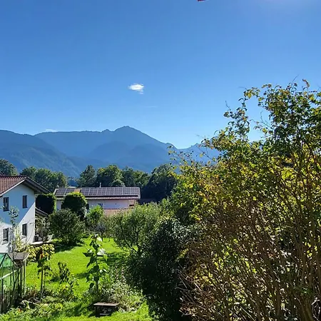 Rodler * Bergen (Traunstein)