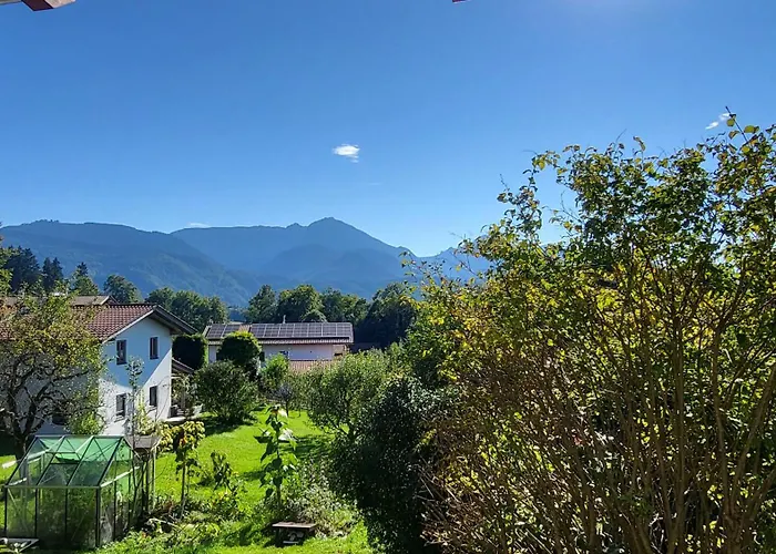 Rodler * Bergen (Traunstein)